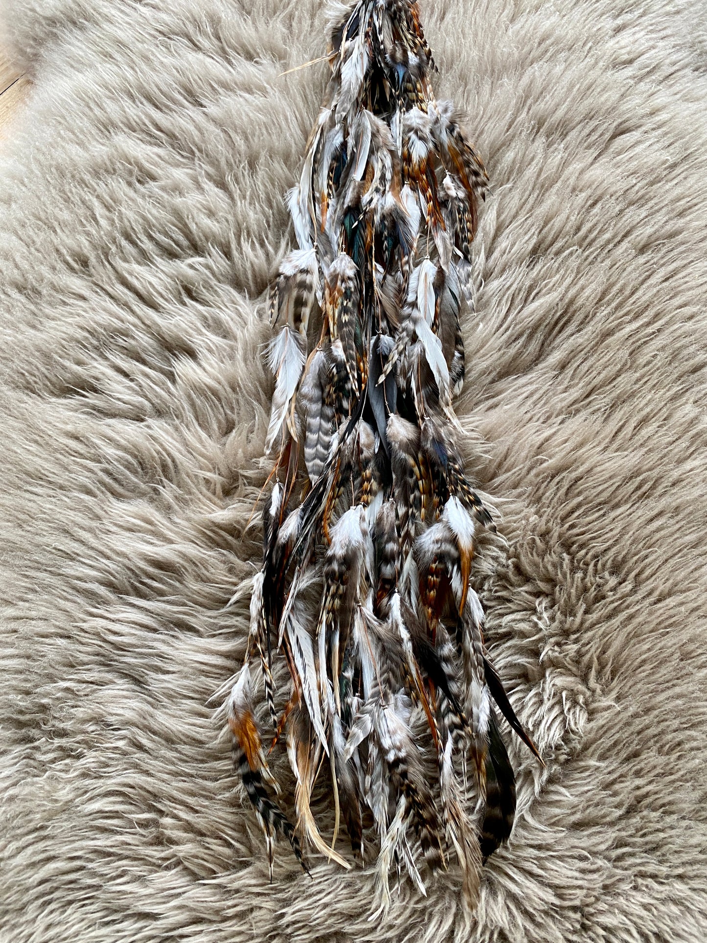 Feather Extensions - Chinchilla Minx